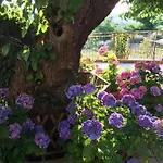 La Casa Sul Golfo Bed & Breakfast 3*