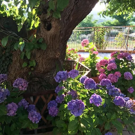 La Casa Sul Golfo Bed & Breakfast 3*